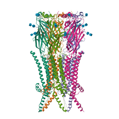 PDB 8ZFK