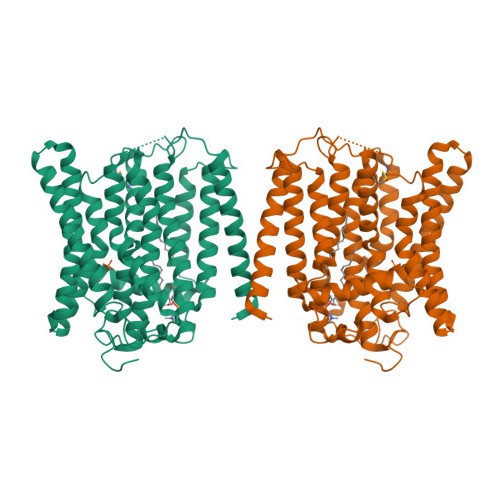 PDB 9IJZ