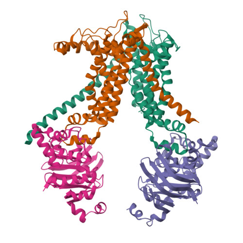 PDB 9K3Y